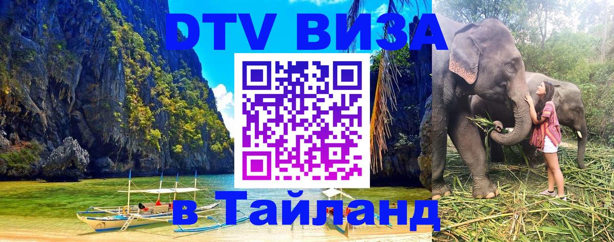 Сколько стоит DTV виза — актуальные цены, оформление даже без документов - 